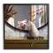 Stupell Industries Small but Mighty Sentiments Adorable Mouse in Mirror in Black Frame Wall Art